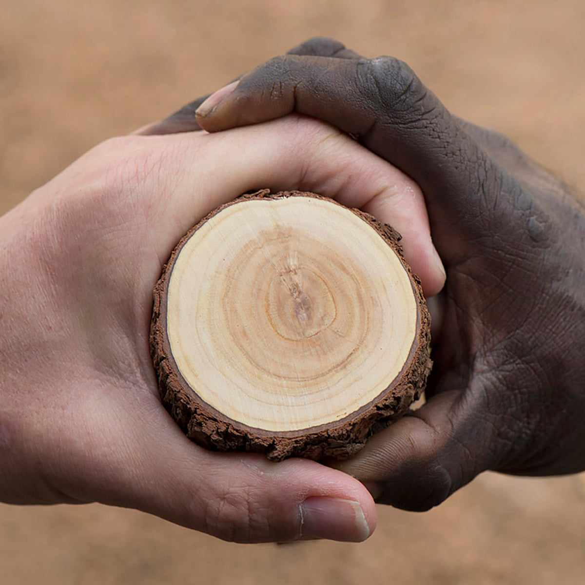Ethical and Sustainable2000.jpg__PID:477f14da-14a1-4b2a-986f-394bf6b3fb8b
